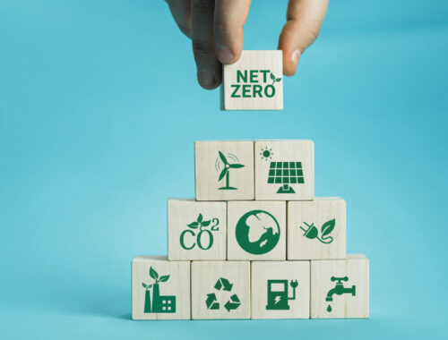 Net Zero Strategie
